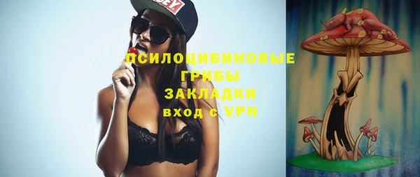 мдпв Коряжма