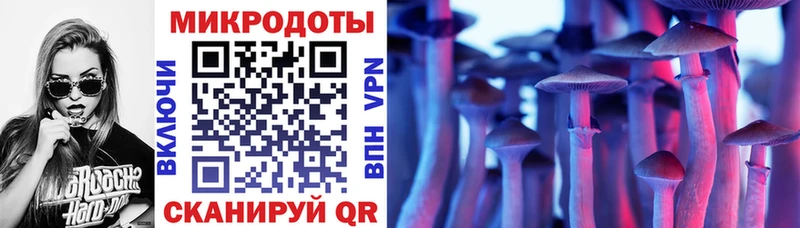 Купить  Новотитаровская  Галлюциногенные грибы Psilocybe 